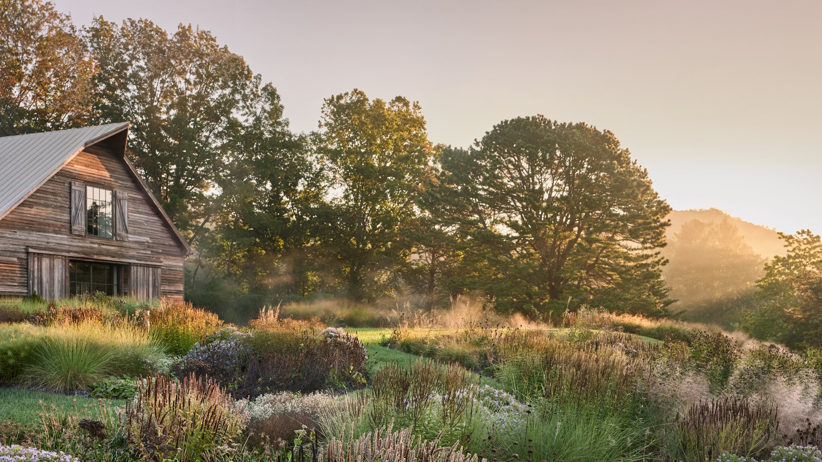 A naturalistic garden in Virginia's Blue Ridge Mountains, designed by Luciano Giubbilei